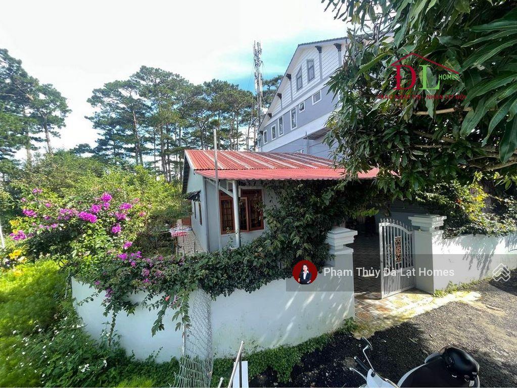 Bán đất tặng nhà đường khe sanh, đà lạt, thế cao bằng phẳng, phía sau giáp thông