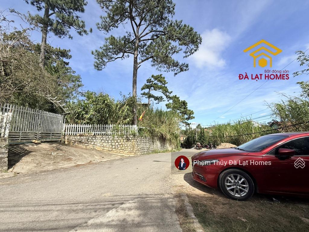 Bán đất tặng nhà đường khe sanh, đà lạt, thế cao bằng phẳng, phía sau giáp thông