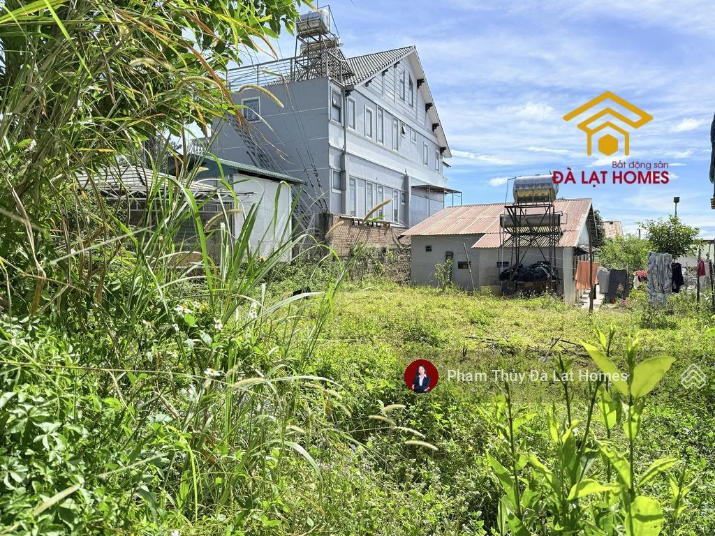 Bán đất tặng nhà đường khe sanh, đà lạt, thế cao bằng phẳng, phía sau giáp thông