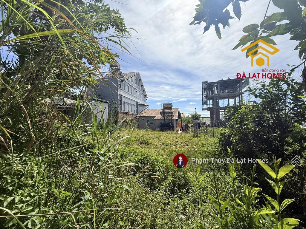 Bán đất tặng nhà đường khe sanh, đà lạt, thế cao bằng phẳng, phía sau giáp thông