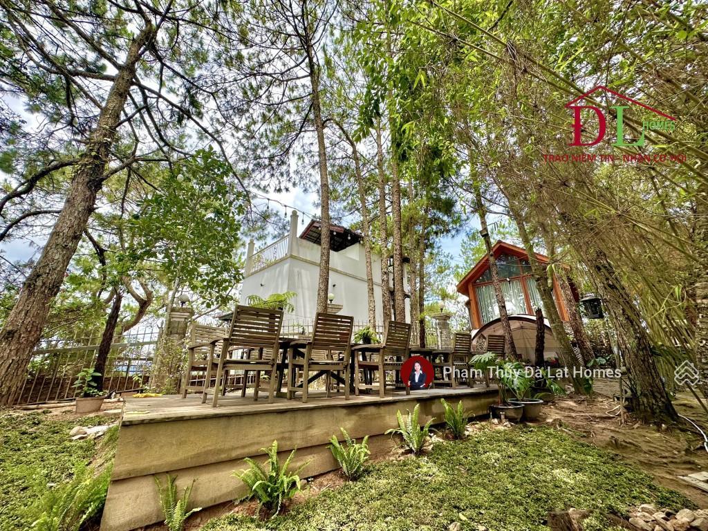 Bán khu biệt phủ đồi robin đà lạt, khuôn viên 3000m2 view toàn cảnh thành phố