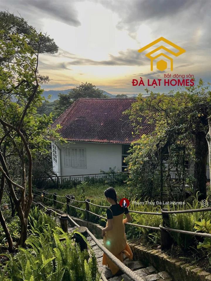 Bán khu biệt phủ đồi robin đà lạt, khuôn viên 3000m2 view toàn cảnh thành phố
