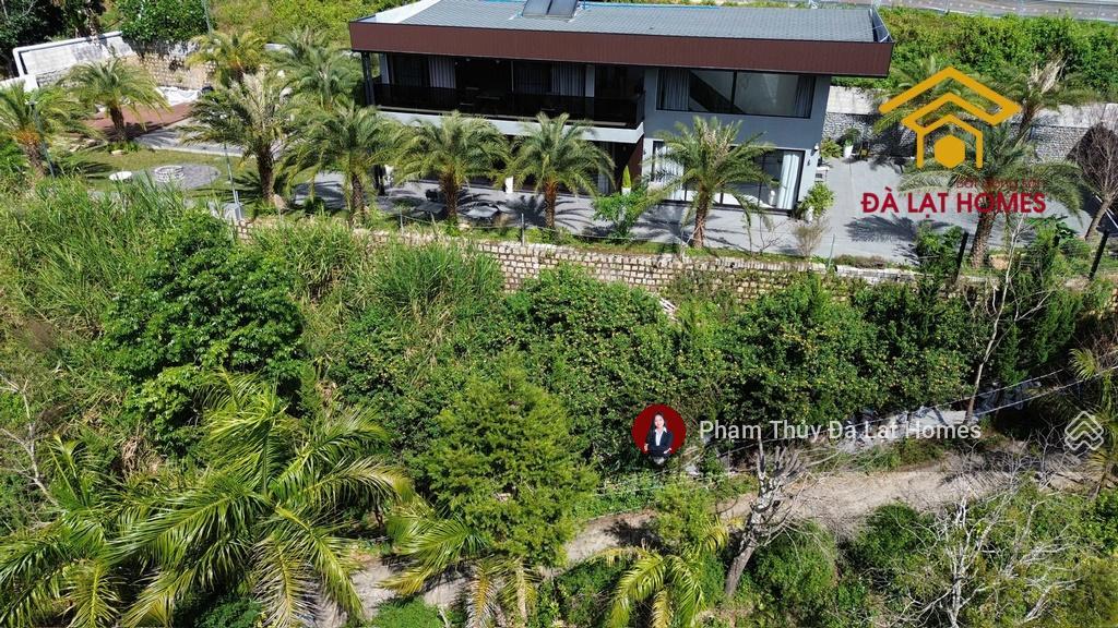 Bán villa quảng thừa đà lạt, phong cách nghỉ dưỡng châu âu giữa rừng thông xanh