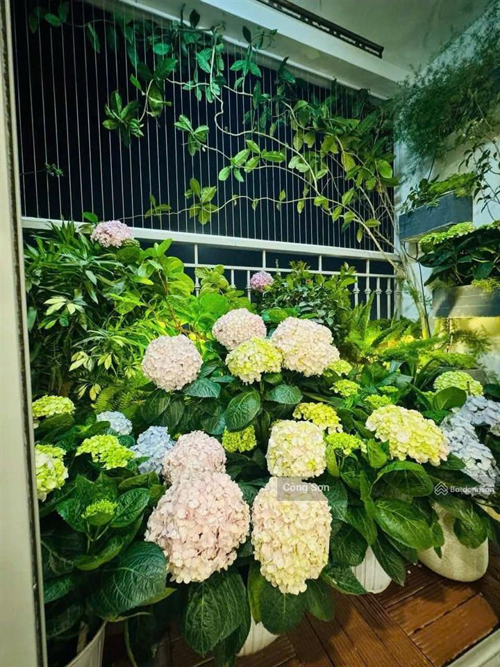 Bán cc an lạc  phùng khoang, 9 tỷ, 146m2, 3pn, 2wc, chính chủ, view đẹp