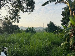 Chính chủ bán gấp lô đất 623m có 400m thổ cư tại phường kỳ sơn