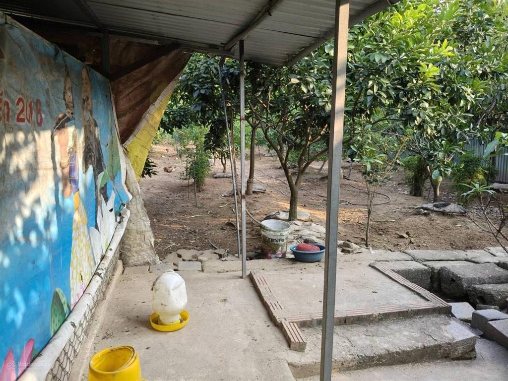 Đất ruộng hơn 600m2, mt 13m, 1.45 tỷ. xe tải, bắc hồng, đông anh