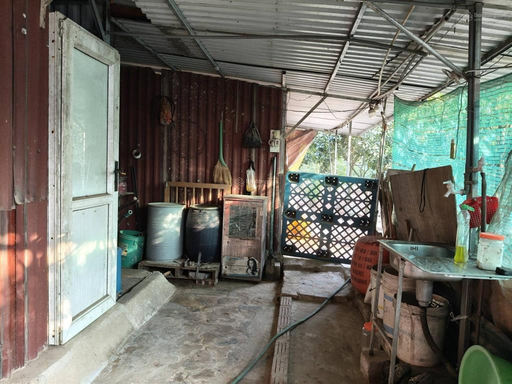 Đất ruộng hơn 600m2, mt 13m, 1.45 tỷ. xe tải, bắc hồng, đông anh