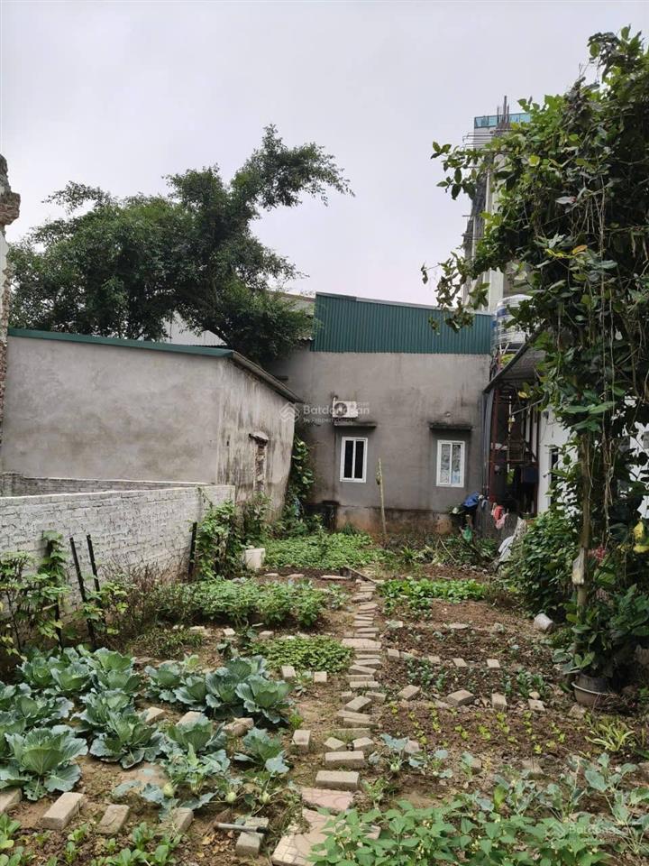 Đất bắc hồng, 99m2, mt 5m, 2 ô tô tránh, bìa làng, 10 tỷ. đông anh