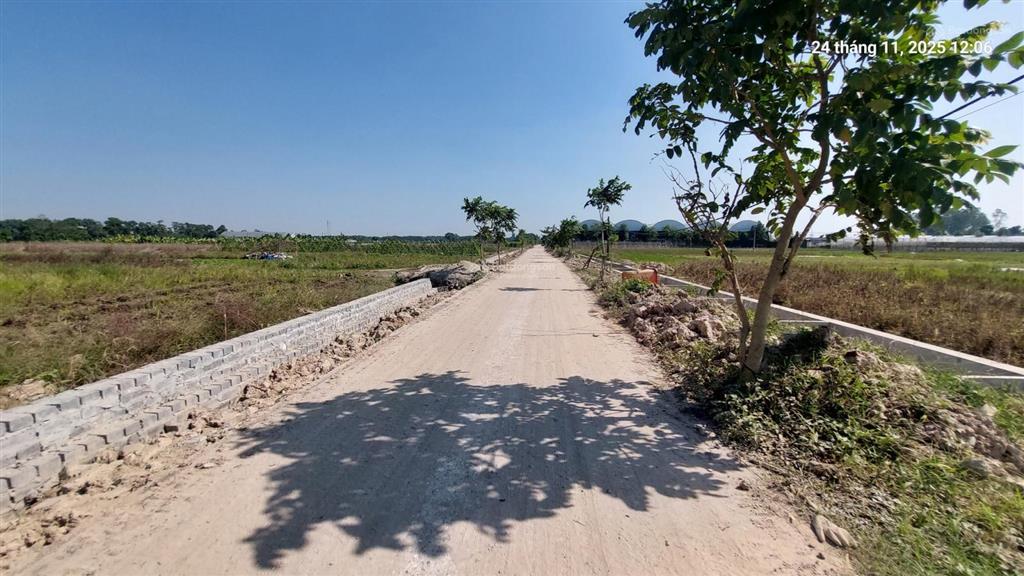 Đất ruộng 1500m2, mt 40m, 310 tr/ sào