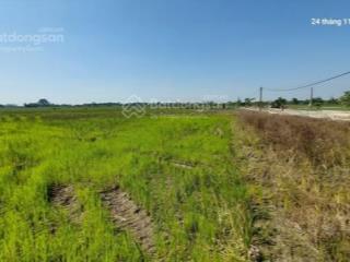 Đất ruộng 1500m2, mt 40m, 310 tr/ sào