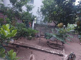 Cần bán gấp 120m2, mt12m, 8.16 tỷ đại mạch, đông anh (thiên lộc), gần ô tô tránh, nhiều tiện ích.