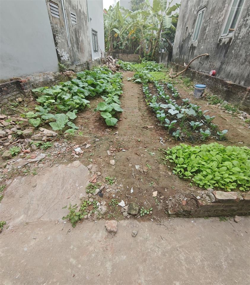 Bán gấp đất vạn phúc, thanh trì 115m2, ô tô 7 chỗ vào đất, giá đầu tư, chỉ 5,8 tỷ ( có thương lượng