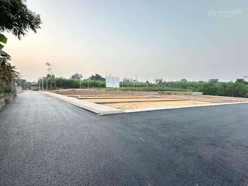 Đẹp mê hồn đất ba vì hà nội. hàng hiếm giá tốt xuống tiền là thắng. 100m 699tr