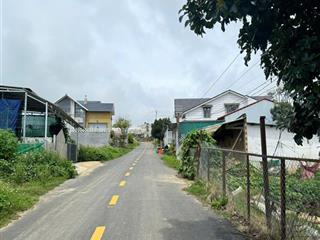 Đất biệt thự đường trại mát, p11, đà lạt. dt 222m2, view thông, bằng phẳng, giá 3.9 tỷ