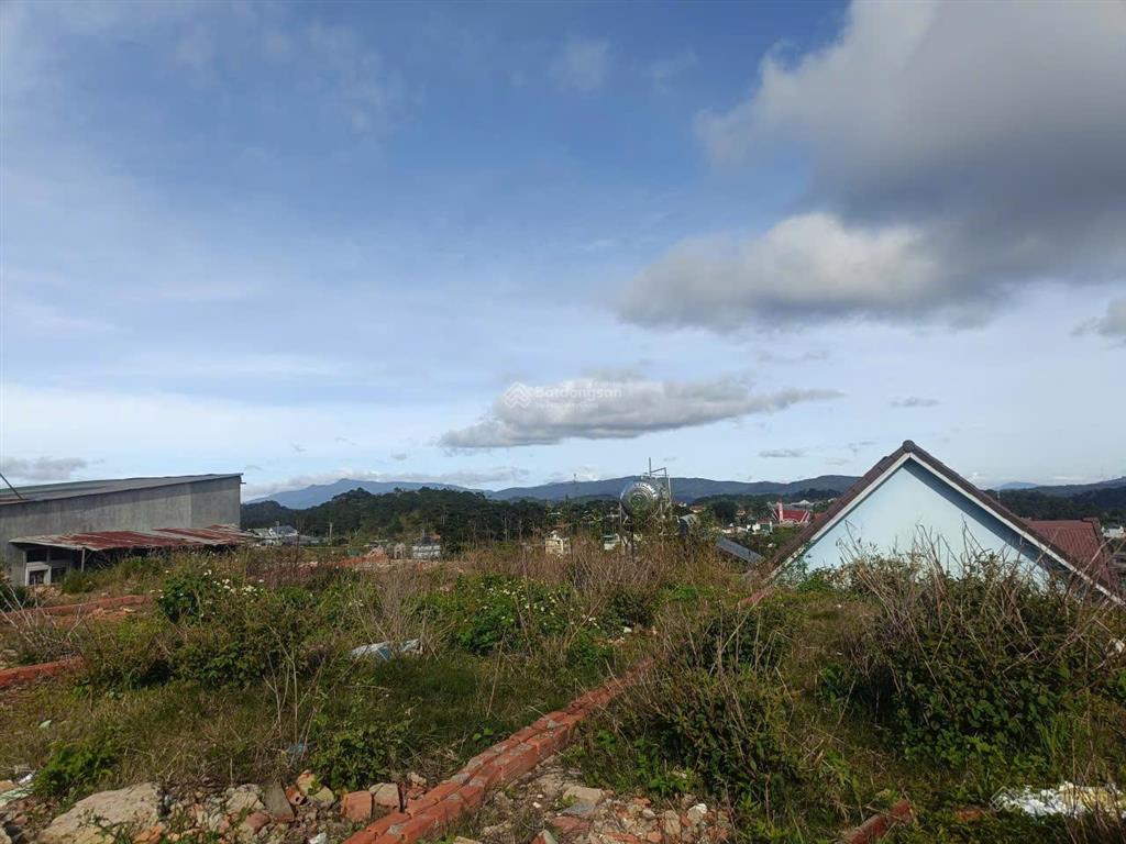 Bán đất biệt thự đường trại mát, phường 11, ngang 10m, sổ riêng xây dựng, đường ô tô, giá 3,9tỷ