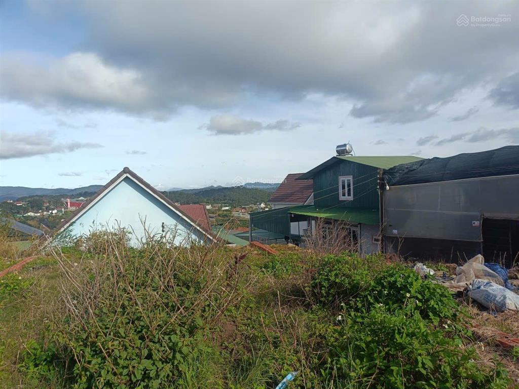 Bán đất biệt thự đường trại mát, phường 11, ngang 10m, sổ riêng xây dựng, đường ô tô, giá 3,9tỷ