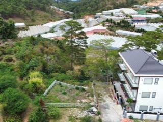 Đất biệt thự 2 mt đường nhựa măng lin  p7  đà lạt, sổ riêng xây dựng, view đồi thông, giá 5,9tỷ