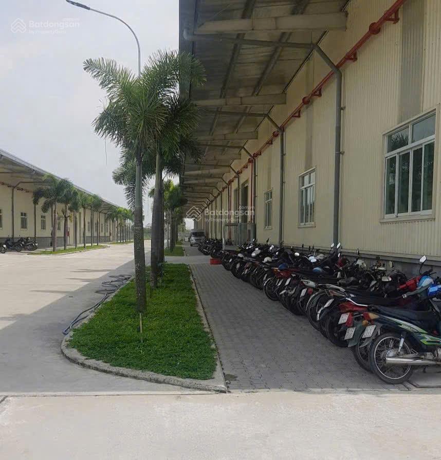 Chỉ 8.9tr/m2 xưởng nguyễn hữu trí, bến lức, la, 52x200m, hđt 500 triệu/tháng ký 10 năm