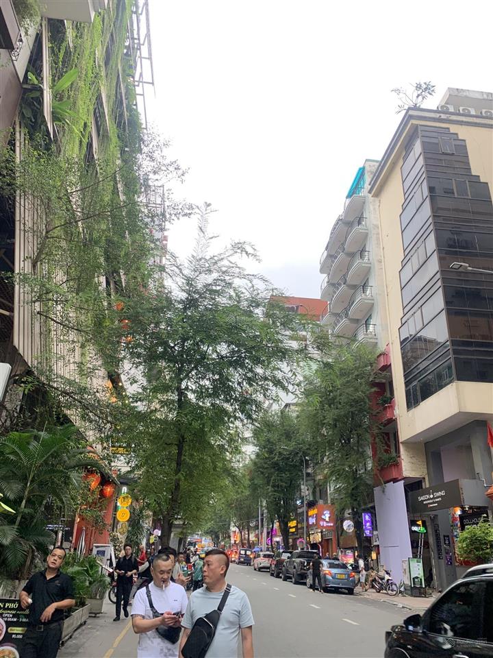 Lô đất đẹp xây khách sạn mặt tiền cao bá quát quận 1, dt 420m2 ngang 22m, shr 1 sổ, chỉ 240 tỷ