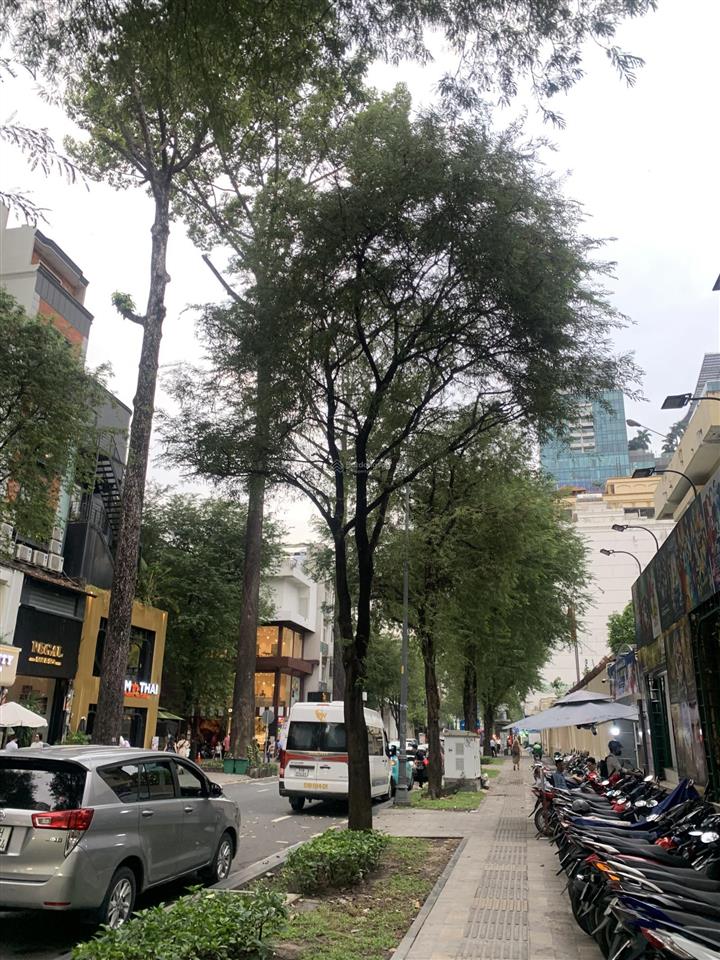 Lô đất đẹp xây khách sạn mặt tiền cao bá quát quận 1, dt 420m2 ngang 22m, shr 1 sổ, chỉ 240 tỷ