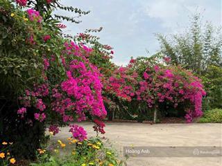 Lô đất nhà vườn cực đẹp 607m2 giá 750 triệu ngay thị xã trảng bàng