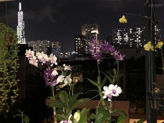 Bán villa mini p25 xây dựng tâm huyết, (10m x 12m) trệt 2 lầu st có garage oto chủ thiện chí bán