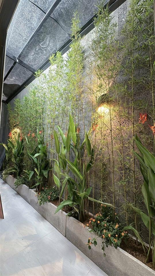 Giá ngon! phân lô nhà đẹp mai dịch, cầu giấy, 55m2x5t thang máy, full nt mới ở ngay, giá 20.5 tỷ tl