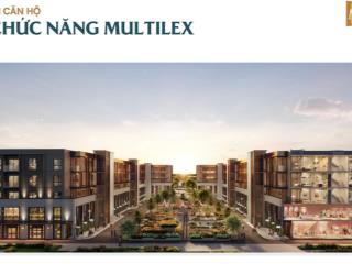 Cần bán căn duplex 3pn/162m2. giá 55 tr/m2. htls 0% 24 tháng. chung cư masterise đan phượng