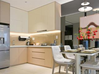 Chuyển nhượng căn góc phú đông sky one, mặt tiền đường dt743 đối diện vsip1, giá tốt