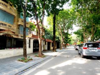 Bán 5 căn liền kề, biệt thự kđt định công, giá từ 25 tỷ