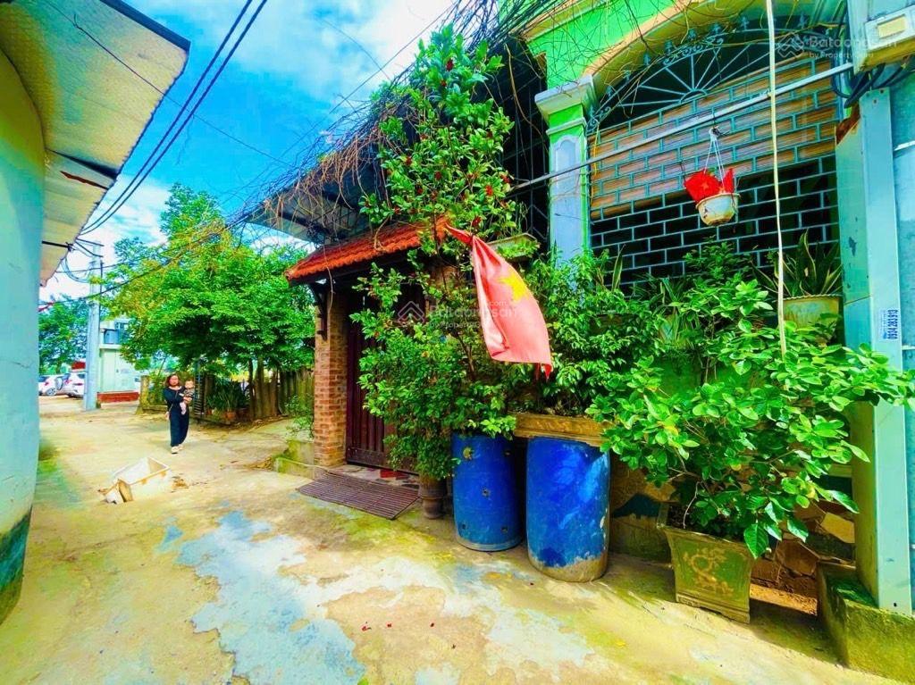 Nhà vườn 3 mặt tiền view sông đuống 121m2 mt 11,5m tỷ lệ vàng 20 ô tô đỗ trước nhà view sông đuống