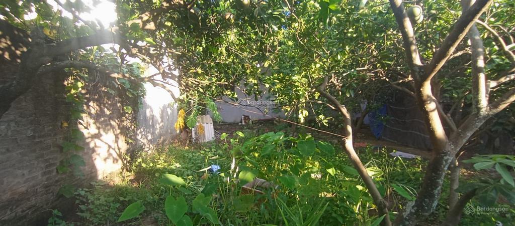 Siêu hot đất trung tâm bắc từ liêm 59m2  7tỷ  lô góc uỷ 2thoáng  sổ đất vuông đẹp  ko quy hoạch