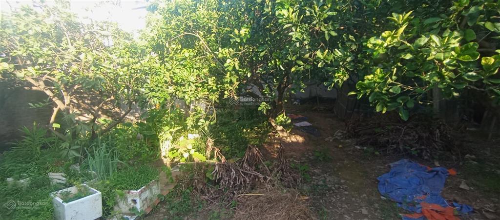 Siêu hot đất trung tâm bắc từ liêm 59m2  7tỷ  lô góc uỷ 2thoáng  sổ đất vuông đẹp  ko quy hoạch