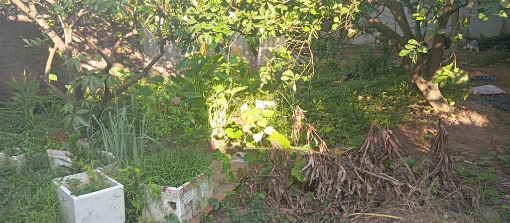 Siêu hot đất trung tâm bắc từ liêm 59m2  7tỷ  lô góc uỷ 2thoáng  sổ đất vuông đẹp  ko quy hoạch