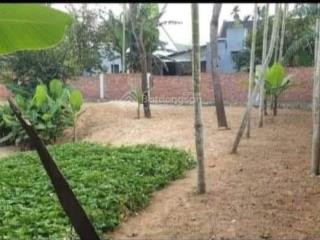 Cần bán lô đất 636m2, view lúa trực diện cực đẹp