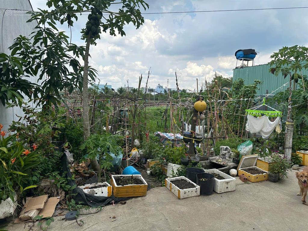 Bán đất đẹp tại bình mỹ, củ chi, hcm, 3,2 tỷ, 251 m2