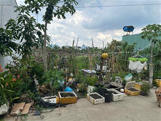 Bán đất đẹp tại bình mỹ, củ chi, hcm, 3,2 tỷ, 251 m2