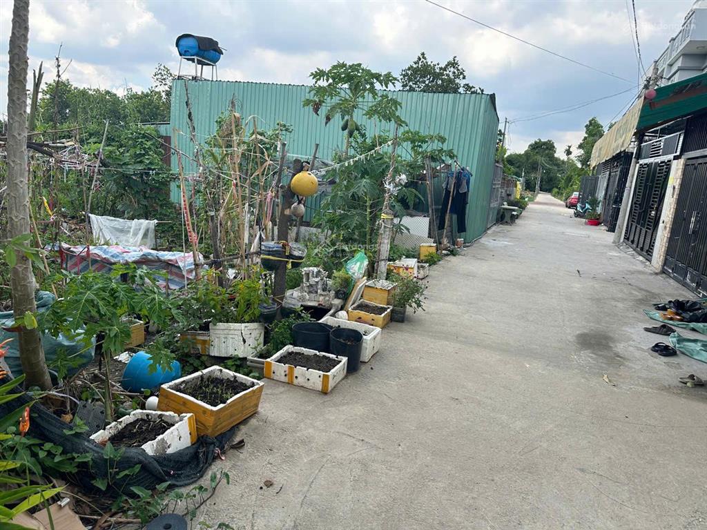 Bán đất đẹp tại bình mỹ, củ chi, hcm, 3,2 tỷ, 251 m2