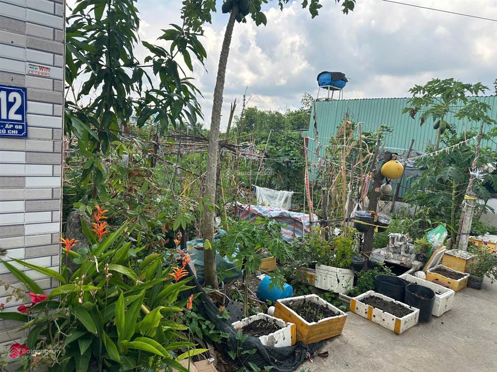 Bán đất đẹp tại bình mỹ, củ chi, hcm, 3,2 tỷ, 251 m2