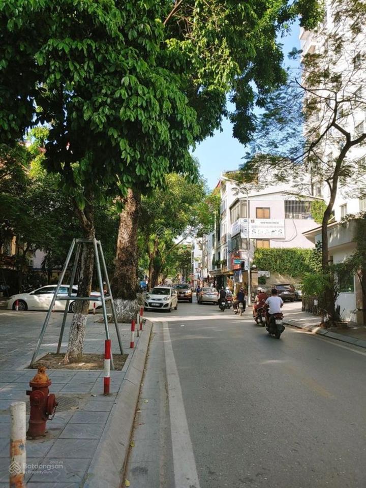 Mặt phố đốc ngữ ba đình 110m2 6 nổi 1 hầm gara oto 5m mt thông sàn thang máy vỉa hè kinh doanh