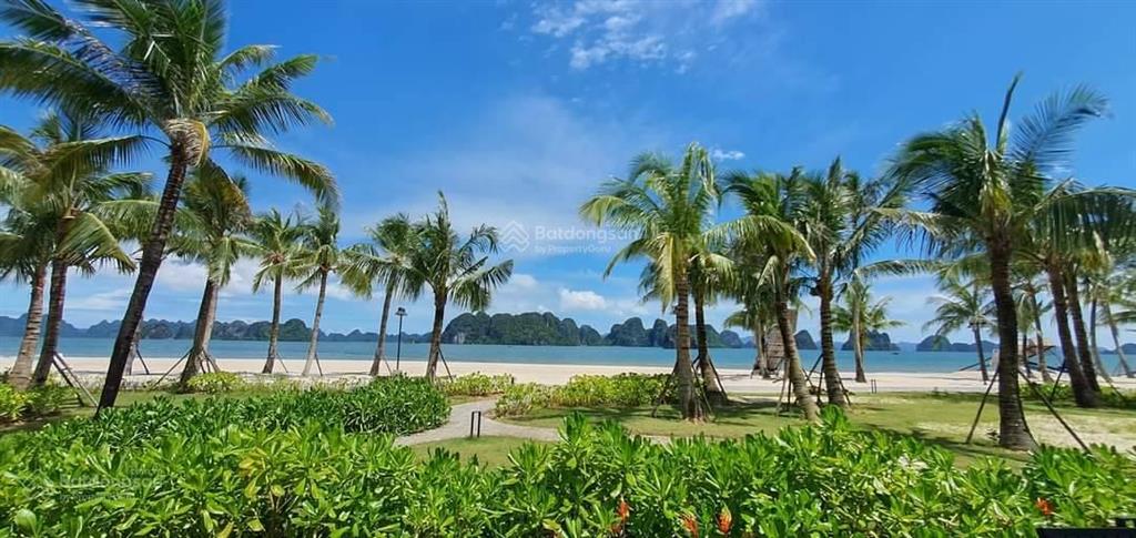 Chính chủ nhượng lại suất ngoại giao singapore shoptel sổ đỏ lâu dài tại sonasea đặc khu vân đồn