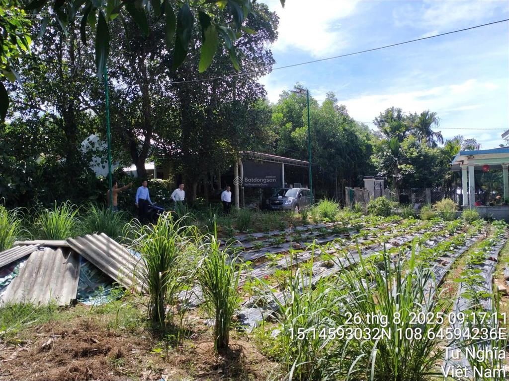 Ngân hàng cần thanh lý ts tại xã nghĩa lâm, quảng ngãi giá 400tr