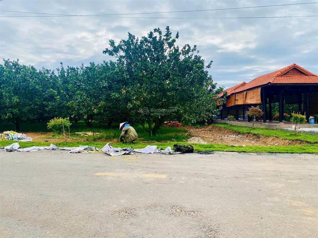 Mua đất tặng vườn bưởi có thu nhập hàng năm, sổ tphcm, đường oto, điện ba pha, dân cư có sẵn