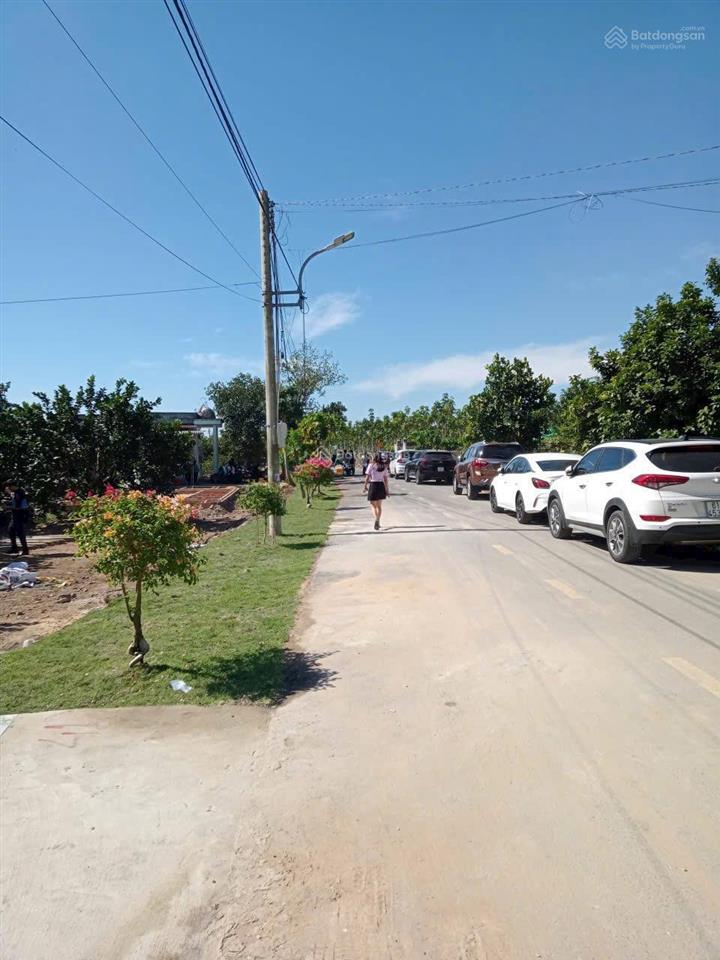 Mua đất tặng vườn bưởi có thu nhập hàng năm, sổ tphcm, đường oto, điện ba pha, dân cư có sẵn