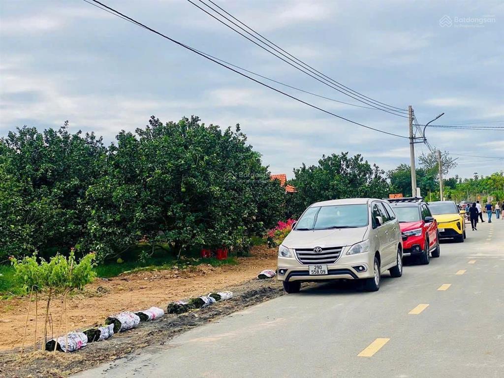 Mua đất tặng vườn bưởi có thu nhập hàng năm, sổ tphcm, đường oto, điện ba pha, dân cư có sẵn