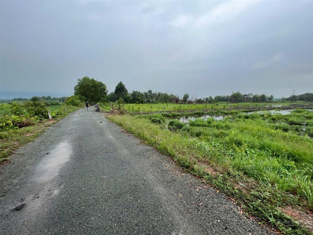 Cần bán gấp lô đất hơn 2000m2 ở củ chi