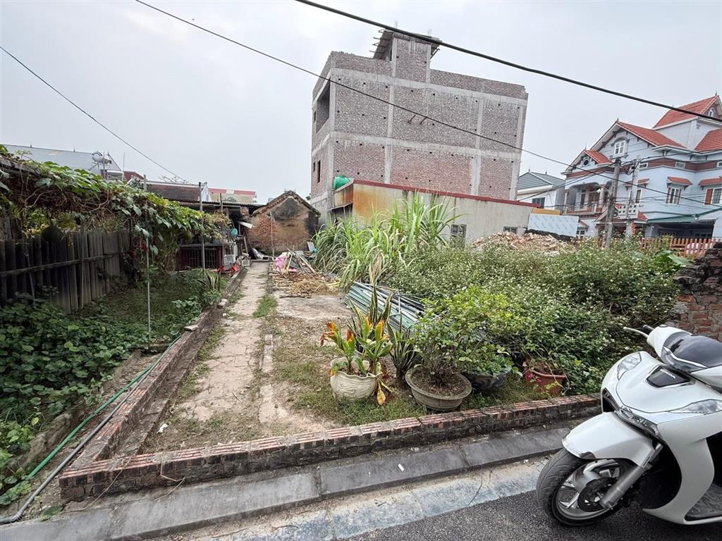 Hiếm có khó tìm! bán lô đất đẹp tại phù liễn bắc hồng đông anh 66m2 shcc giá chỉ 4 tỷ, sát vin