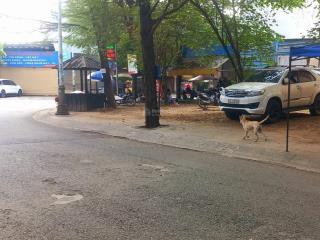 Bán đất góc 2 mặt tiền đường số 56, kdc đông thủ thiêm, q2, diện tích 11mx21m, 214m2, giá 33,99 tỷ.