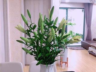 Bán căn hộ chung cư tại the garden hills, 8,1 tỷ 90m2, nam từ liêm, hà nội