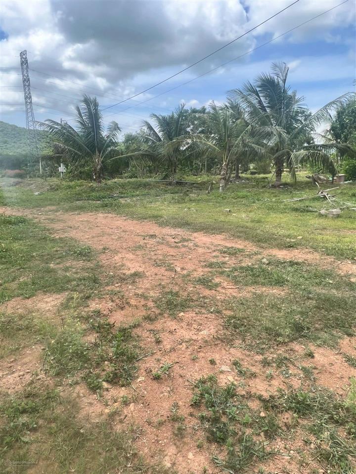 22ha bán đất vườn cây ăn trái  phù hợp làm trang trại hoặc sinh thái  hàm thuận bắc  bình thuận